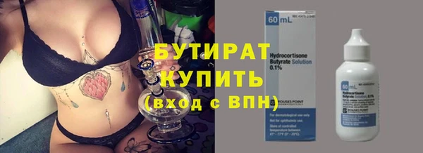 индика Аркадак