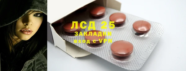 индика Аркадак