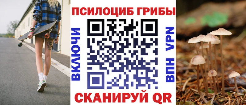 Псилоцибиновые грибы мухоморы  купить наркоту  Окуловка 